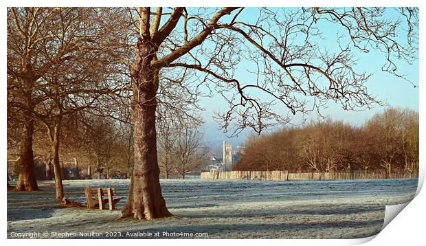 Streatham Common on a frosty morning Print by Stephen Noulton