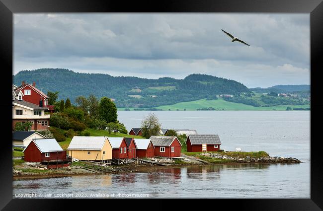Picturesque scene in Norway Framed Print by Iain Lockhart
