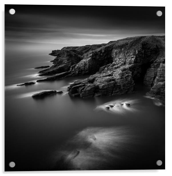 Arbroath Cliffs Acrylic by Dave Bowman