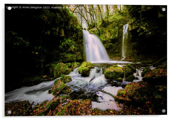 Sloughan Glen Waterfall Acrylic by Arnie Livingston