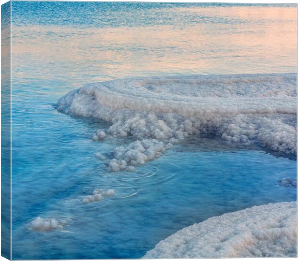 Salt deposits, typical landscape of the Dead Sea,  Canvas Print by Olga Peddi