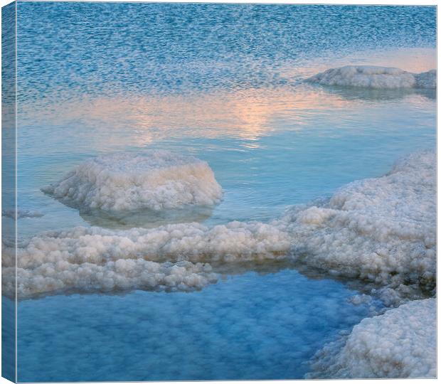 Salt deposits, landscape of the Dead Sea, Israel. Canvas Print by Olga Peddi