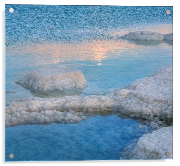 Salt deposits, landscape of the Dead Sea, Israel. Acrylic by Olga Peddi