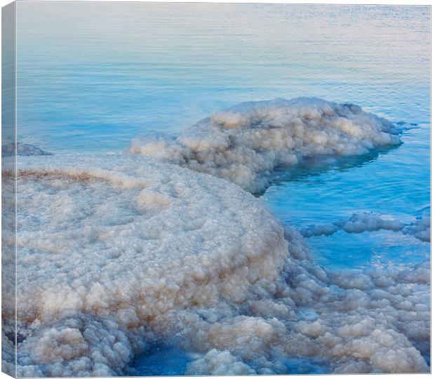 Salt deposits, typical landscape of the Dead Sea,  Canvas Print by Olga Peddi