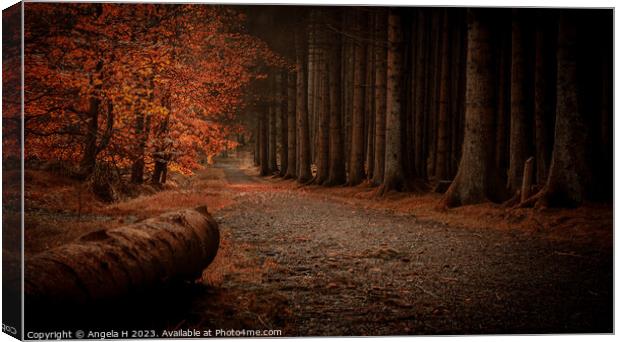 Beecraigs Country Park Canvas Print by Angela H
