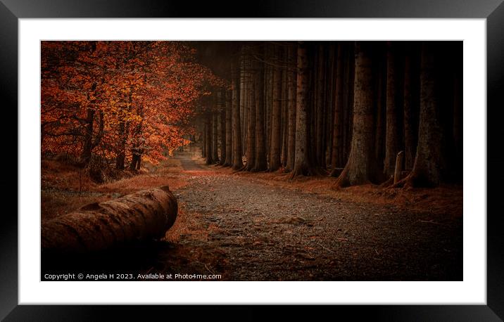 Beecraigs Country Park Framed Mounted Print by Angela H