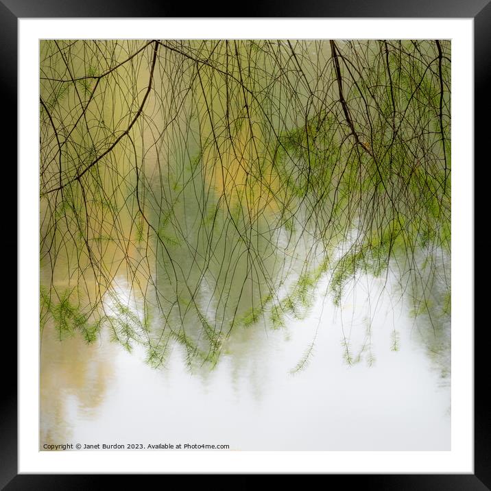 Autumn Veil Framed Mounted Print by Janet Burdon