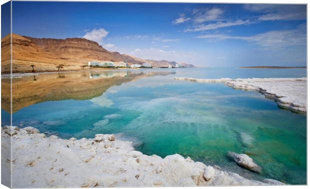 Salt deposits, typical landscape of the Dead Sea. Canvas Print by Olga Peddi