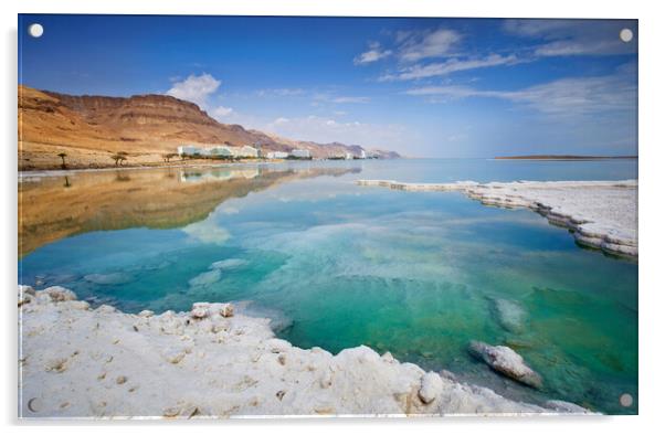 Salt deposits, typical landscape of the Dead Sea. Acrylic by Olga Peddi