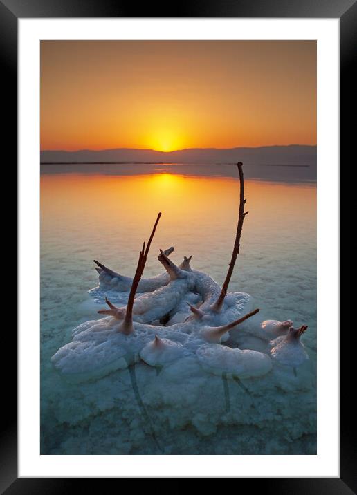 Sunrise and Dawn of the Dead Sea Framed Mounted Print by Olga Peddi