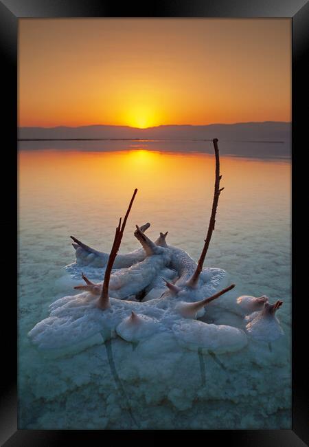 Sunrise and Dawn of the Dead Sea Framed Print by Olga Peddi