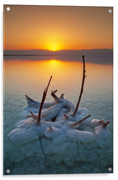 Sunrise and Dawn of the Dead Sea Acrylic by Olga Peddi
