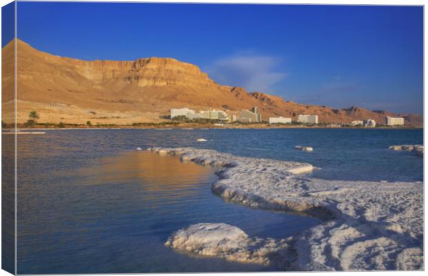 Salt deposits, typical landscape of the Dead Sea. Canvas Print by Olga Peddi