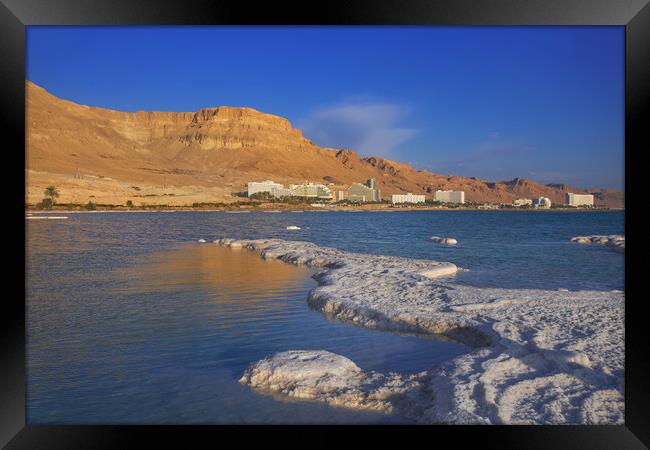 Salt deposits, typical landscape of the Dead Sea. Framed Print by Olga Peddi