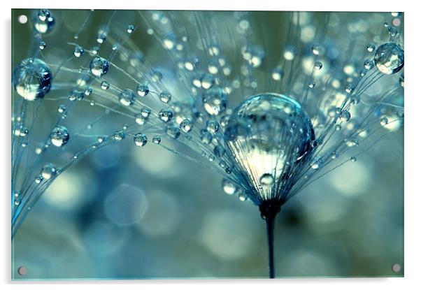 Blue Sparkles Acrylic by Sharon Johnstone
