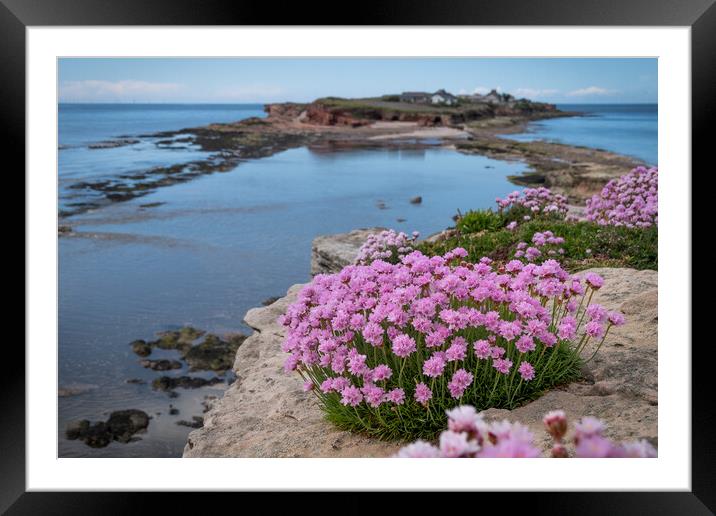 Hilbre Thrift Framed Mounted Print by Liam Neon
