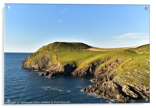 The cliffs on the Port Quin headland, North Cornwa Acrylic by  Garbauske