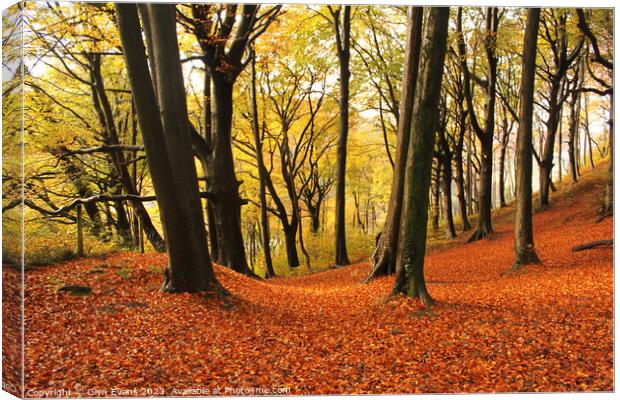 Autumn colours in Fforest Fawr Canvas Print by Glyn Evans