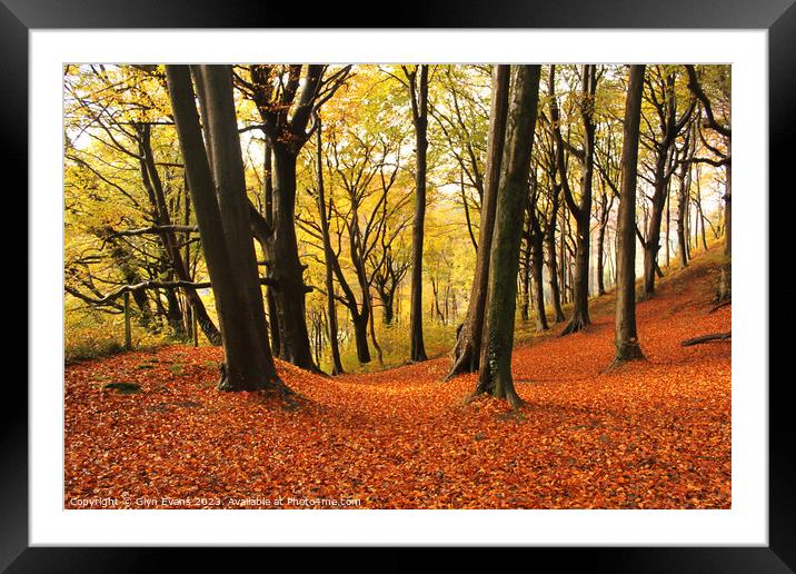 Autumn colours in Fforest Fawr Framed Mounted Print by Glyn Evans