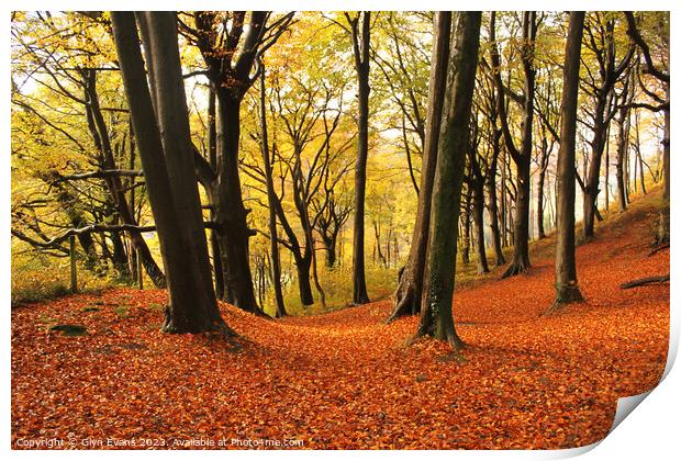 Autumn colours in Fforest Fawr Print by Glyn Evans