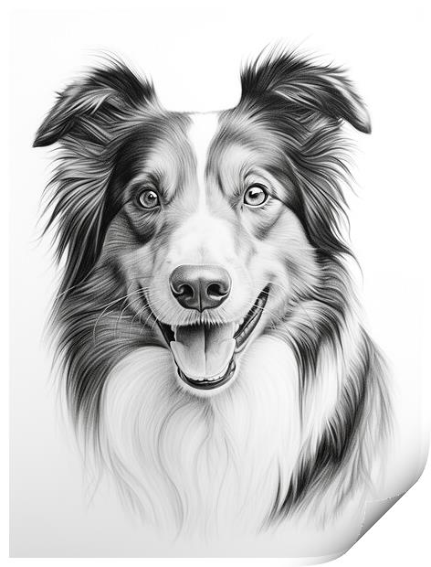 Croatian Sheepdog Pencil Drawing Print by K9 Art