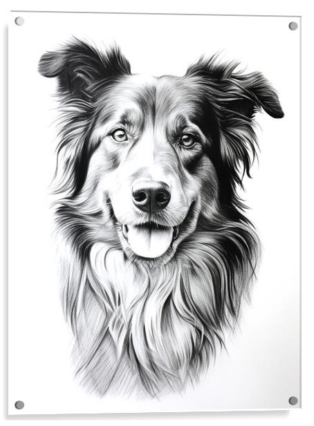 Croatian Sheepdog Pencil Drawing Acrylic by K9 Art