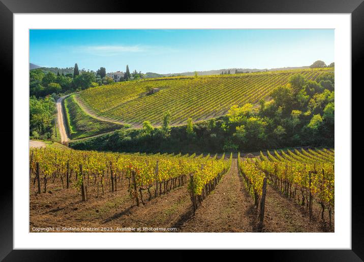 Montalcino vineyards in autumn. Tuscany region, Italy Framed Mounted Print by Stefano Orazzini