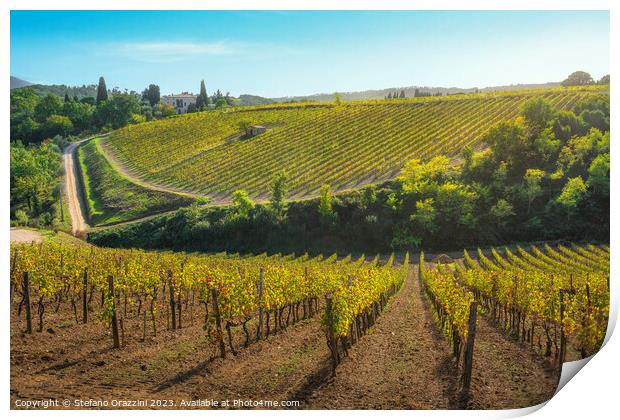 Montalcino vineyards in autumn. Tuscany region, Italy Print by Stefano Orazzini