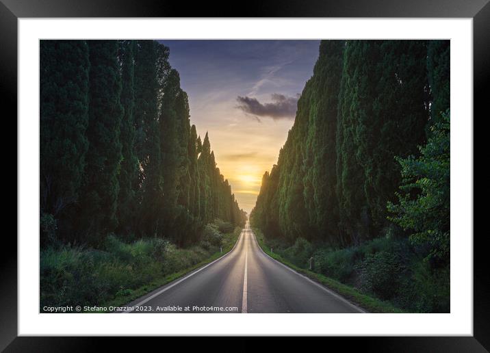 The cypress avenue of Bolgheri and the sun in the middle Framed Mounted Print by Stefano Orazzini