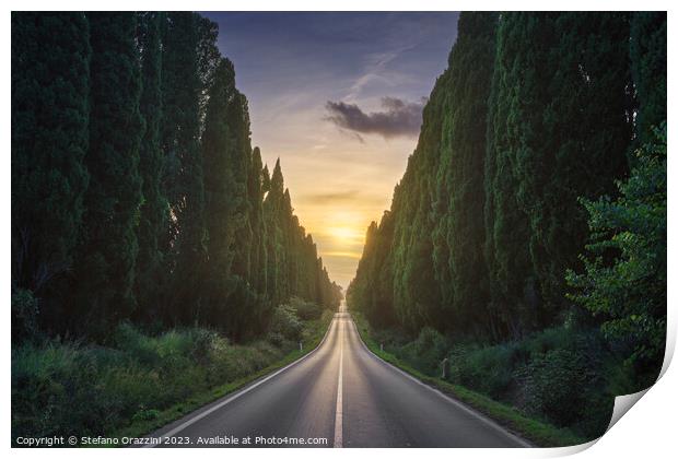 The cypress avenue of Bolgheri and the sun in the middle Print by Stefano Orazzini