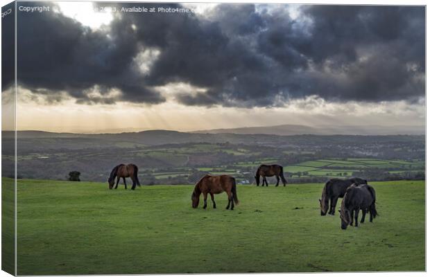 Evening storm clouds gathering over Tavistock and the Dartmoor h Canvas Print by Kevin White