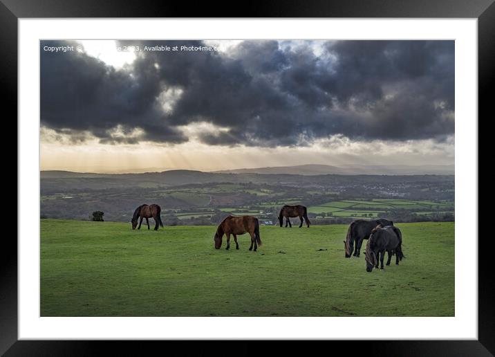 Evening storm clouds gathering over Tavistock and the Dartmoor h Framed Mounted Print by Kevin White