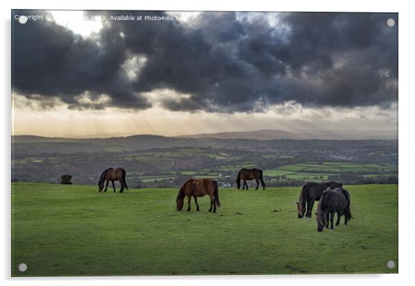 Evening storm clouds gathering over Tavistock and the Dartmoor h Acrylic by Kevin White