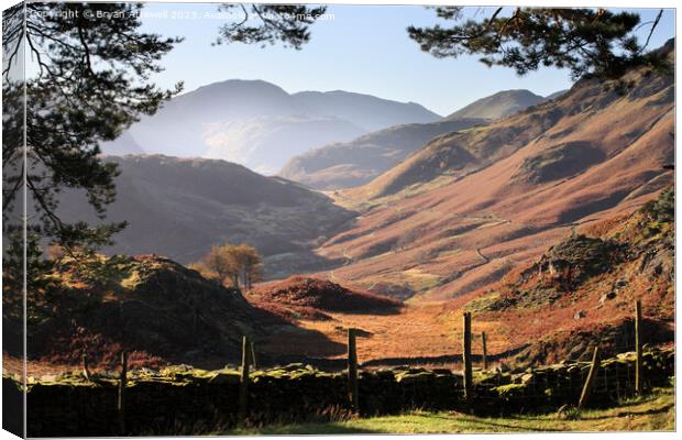 Borrowdale from Castle Crag  Canvas Print by Bryan Attewell