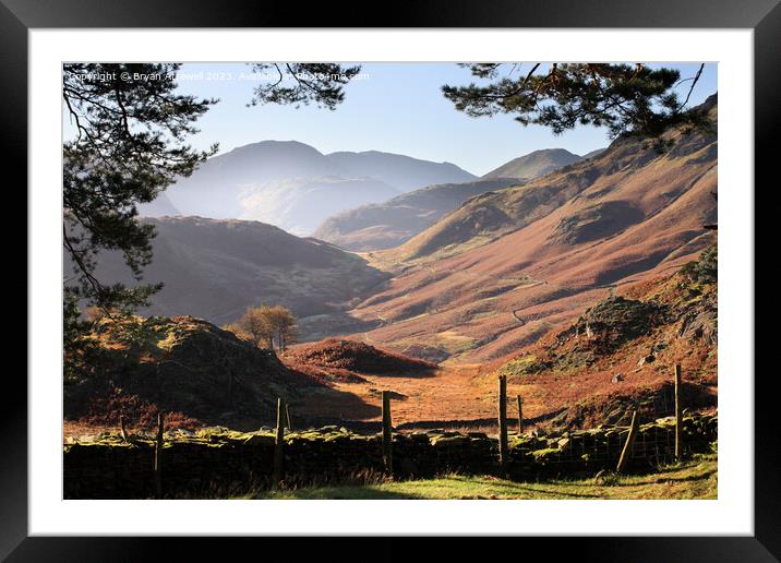 Borrowdale from Castle Crag  Framed Mounted Print by Bryan Attewell