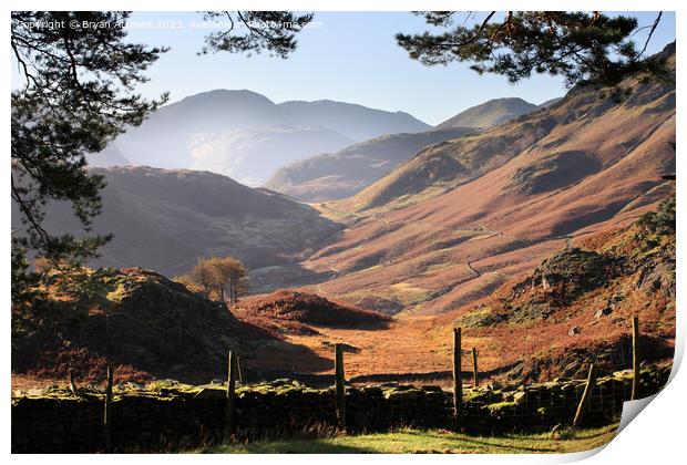 Borrowdale from Castle Crag  Print by Bryan Attewell