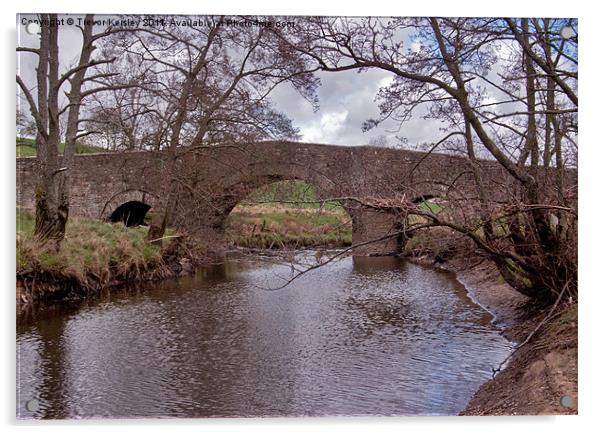 Three Arch Packhorse Bridge Acrylic by Trevor Kersley RIP