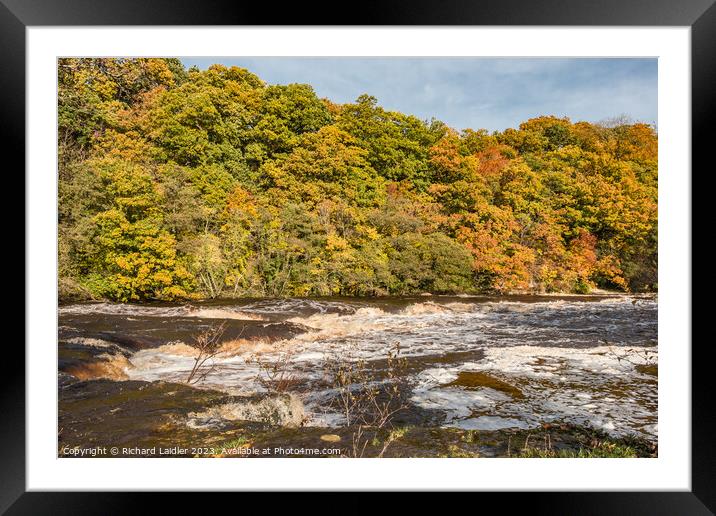 Another Flood at Whorlton, Teesdale Framed Mounted Print by Richard Laidler