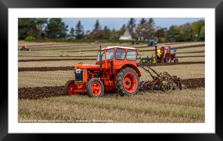 Vintage Tractor Ploughing Framed Mounted Print by Rodney Hutchinson