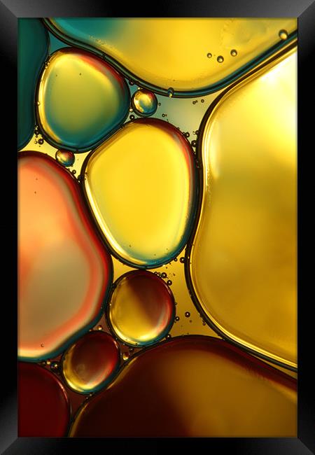 Oil & Water Abstract II Framed Print by Sharon Johnstone