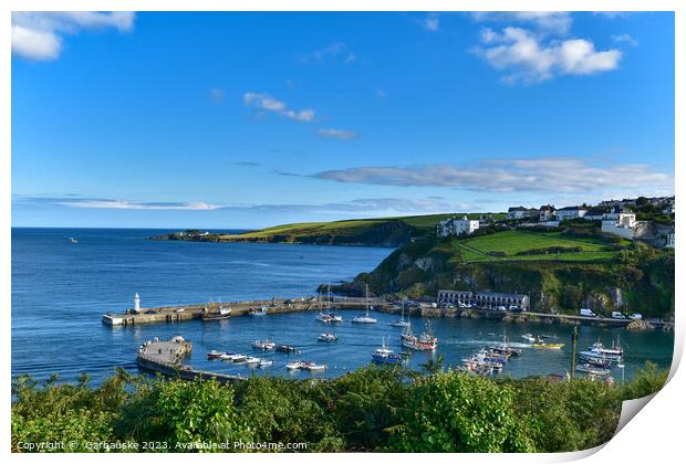A view on Mevagissey Harbour, Cornwall  Print by  Garbauske