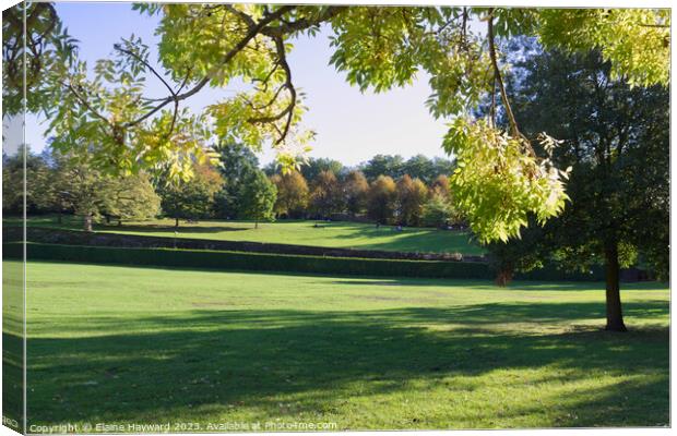 Castle Park Colchester in autumn Canvas Print by Elaine Hayward