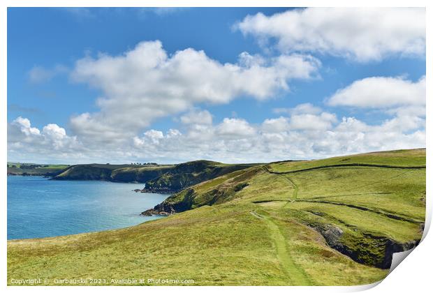 Pentire walking path, Cornwall Print by  Garbauske