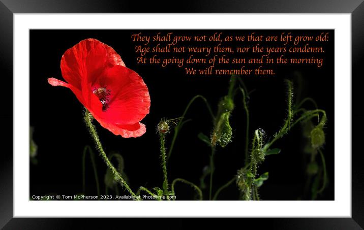 Remembrance Poppy Framed Mounted Print by Tom McPherson