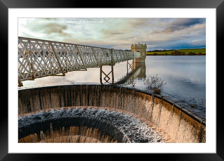Northumberland Reservoir Framed Mounted Print by Aimie Burley