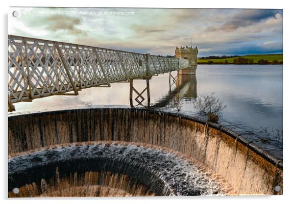 Northumberland Reservoir Acrylic by Aimie Burley
