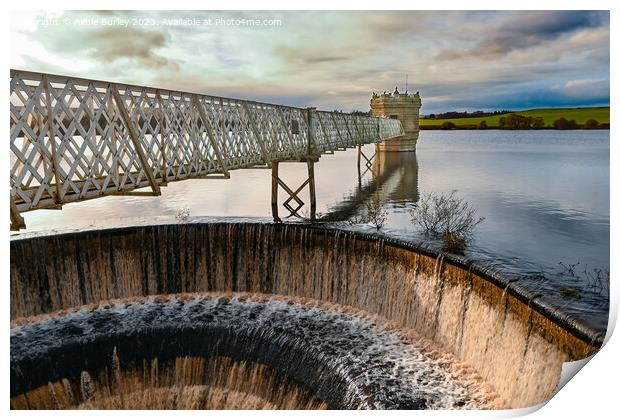 Northumberland Reservoir Print by Aimie Burley
