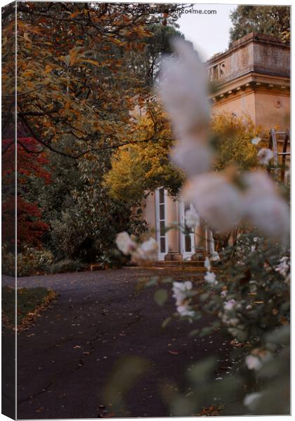 Autumn in Botanical Gardens in Bath Canvas Print by Duncan Savidge