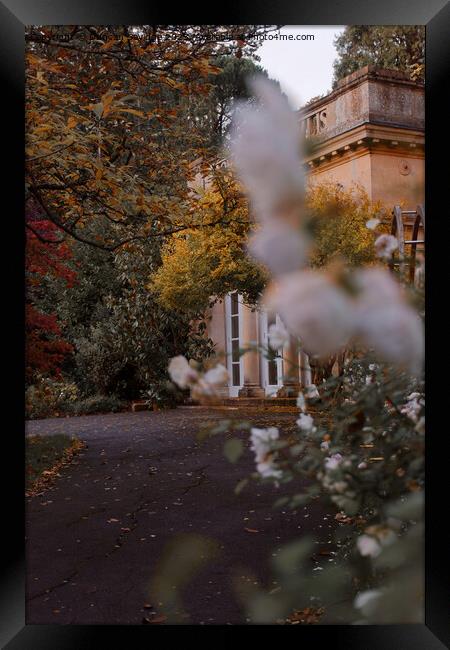 Autumn in Botanical Gardens in Bath Framed Print by Duncan Savidge