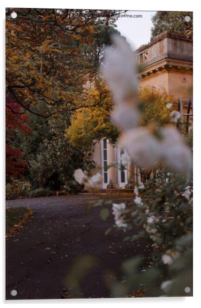 Autumn in Botanical Gardens in Bath Acrylic by Duncan Savidge